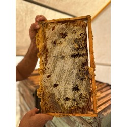 Ovacık Doğal Süzme Balı